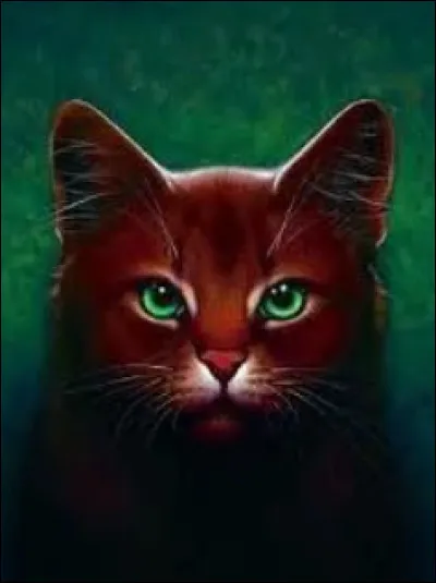 Étoile de Sapin était chef juste avant Étoile Bleue.