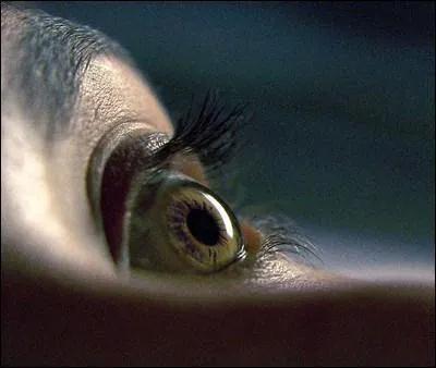 Sarah meurt-elle  la fin ?