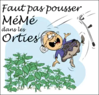 "Mémé dans les orties" est un roman d'Aurélie Valognes. Parmi les titres proposés, lequel n'est pas de cette romancière ?
