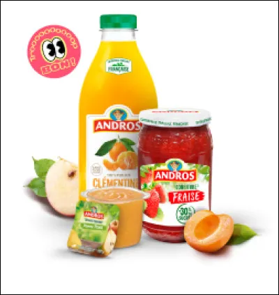 Quelle marque n'appartient pas au "groupe Andros" ?
