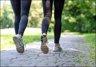 Dernière question, comment appelle-t-on la peur de marcher ? (bien entendu marcher beaucoup !)