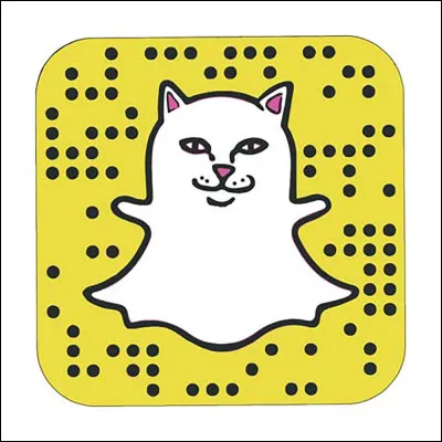 Quel est le nom de cette application ?