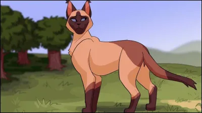 Comment s'appelle le chaton qui meurt de maladie ?