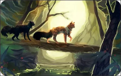 Quel chat ne fait pas partie de ceux qui veulent partir des montagnes ?