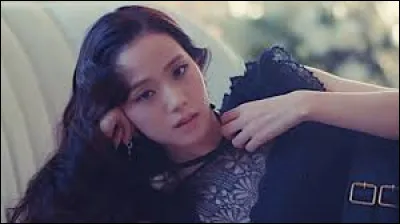 De quelles marques Jisoo est-elle l'ambassadrice ?