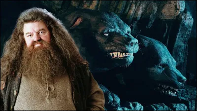 Dans le premier film, que garde Touffu le chien à trois têtes ?