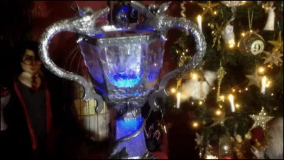 Dans le quatrième film qui a mis le nom de Harry dans la coupe de feu ?