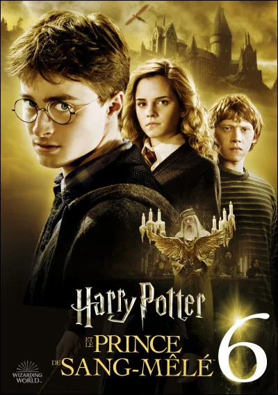 Dans ''le Prince de sang-mêlé'', qui est ce fameux Prince ?