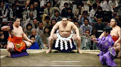 Litt&eacute;ralement que veut dire ''sumo'' ?