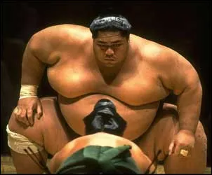 Jusqu'&agrave; quel poids peuvent aller les "rikishi" ?