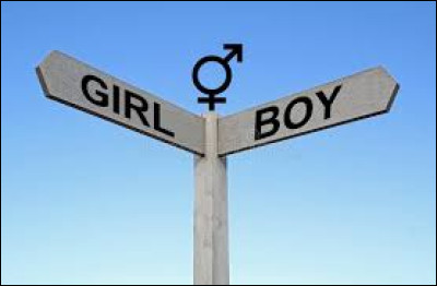 Fais un choix : veux-tu être un mâle ou une femelle ?