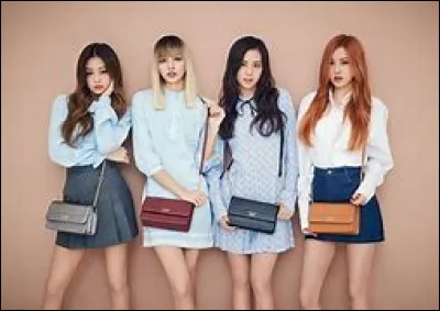 Pour aller en soirée, tu préfères mettre :