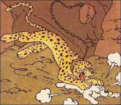 Dans ''Coke en Stock'' comment s'appelle le guépard apprivoisé de l'émir Mohammed Ben Kalish Ezab, qui s'en prend à Milou ?