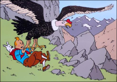 Sur la couverture de l'album ''Le Temple du Soleil'' que tient Milou dans sa gueule ?