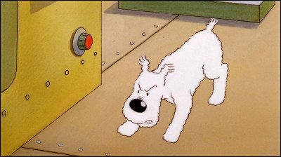 D'où vient le nom de Milou ?