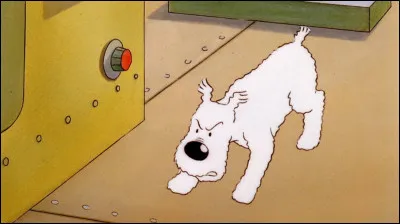 D'o&ugrave; vient le nom de Milou ?