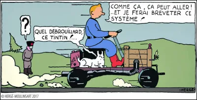 Dans quel album Milou appara&icirc;t-il la premi&egrave;re fois ?
