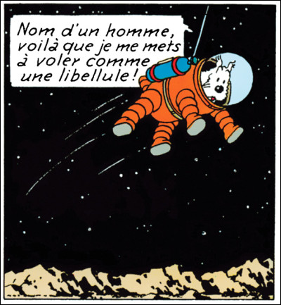 Sur quelle couverture d'album peut-on voir Milou avec un scaphandre ?