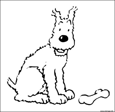 Quel autre animal se tient à côté de Milou sur la couverture de l'album ''Les Bijoux de la Castafiore'' ?