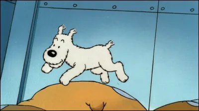 Dans quel album Milou se retrouve-t-il accus&eacute; d'avoir mordu un animal sacr&eacute; ?
