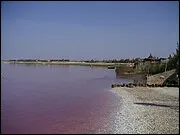 Quel pays d'Afrique a r&eacute;form&eacute; son Code civil pour adopter une grande partie du Code civil fran&ccedil;ais ?