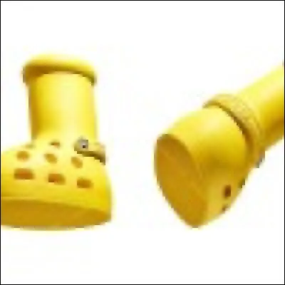 Qui est représenté sur cette image ?