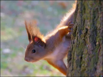 Qui est représenté sur cette image ?