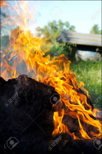 Qui est représenté sur cette image ?