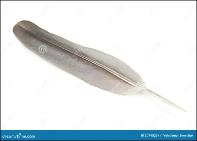 Qui est représenté sur cette image ?