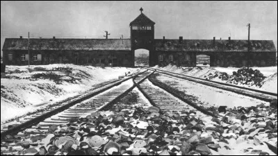 Qui r&eacute;alise le film documentaire ''Nuit et Brouillard'' en 1956 ?