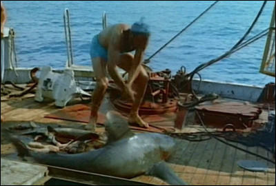 Avec quel cin&eacute;aste Jean-Jacques Cousteau a-t-il r&eacute;alis&eacute; ''Le Monde du silence'' ?