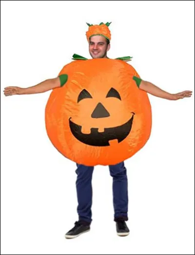 En quoi est-il déguisé ?