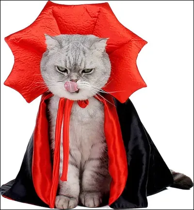 Qu'est-ce que c'est ?