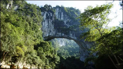 Quelles sont tes qualités ? (2)