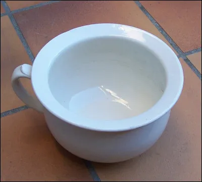 Pour Hélène Tournaire, qui est empaillé ?