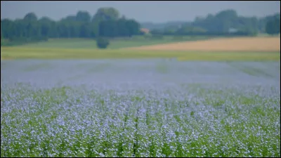 Quelle lettre faut-il ajouter pour obtenir une attache ?