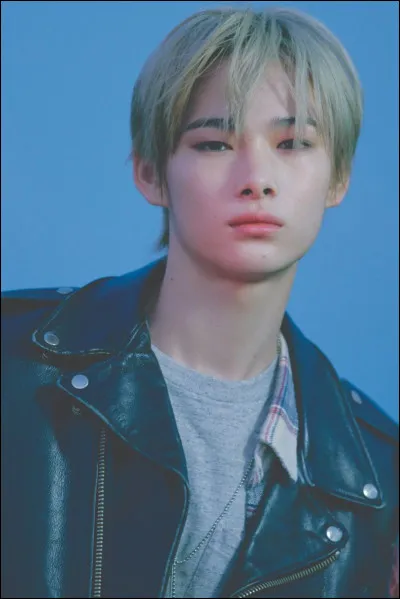 Qui est cette idole de K-pop ?