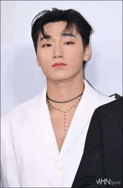 Qui est cette idole K-pop ?