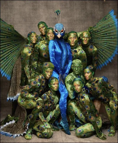 Nous avons là la grande gagnante d'Halloween 2023 puisque Heidi Klum s'est parée de son plus beau déguisement de paon. Mais sur cette image, s'agit-il d'un mâle ou d'une femelle ?