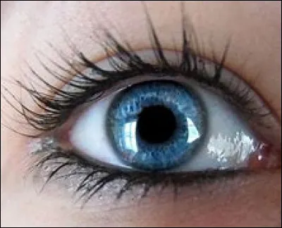 Comment sont tes yeux ?