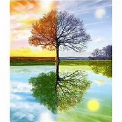 Quelle est ta saison préférée ?