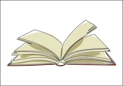 Il est bien ouvert comparé au roman :