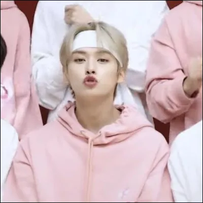 Combien a-t-il de chats ?