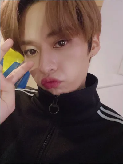 Quel est le rôle principal de Lee Know au sein de Stray Kids ?