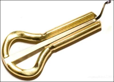 Comment appelle-t-on ce que l'on voit sur cette image ?