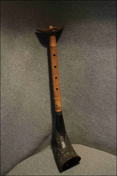 Ici, il s'agit d'un(e)...