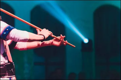 Quel est le nom de cet instrument de musique ?