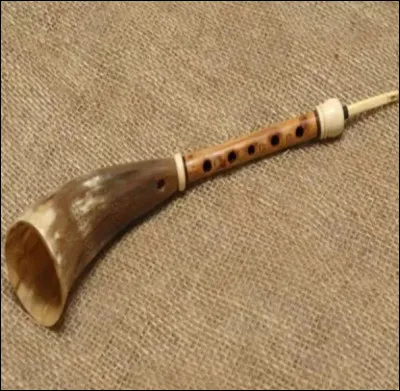 Quel est le nom de cet instrument de musique ?