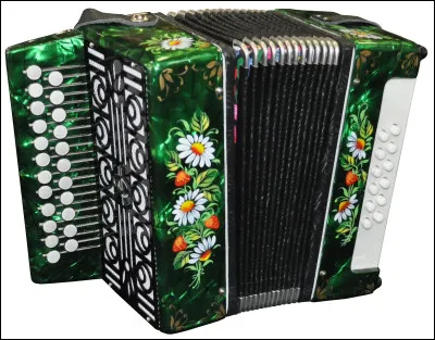 Comment appelle-t-on ce que l'on voit sur cette image ?