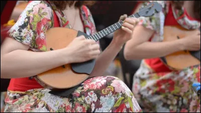 Quel est le nom de cet instrument de musique ?